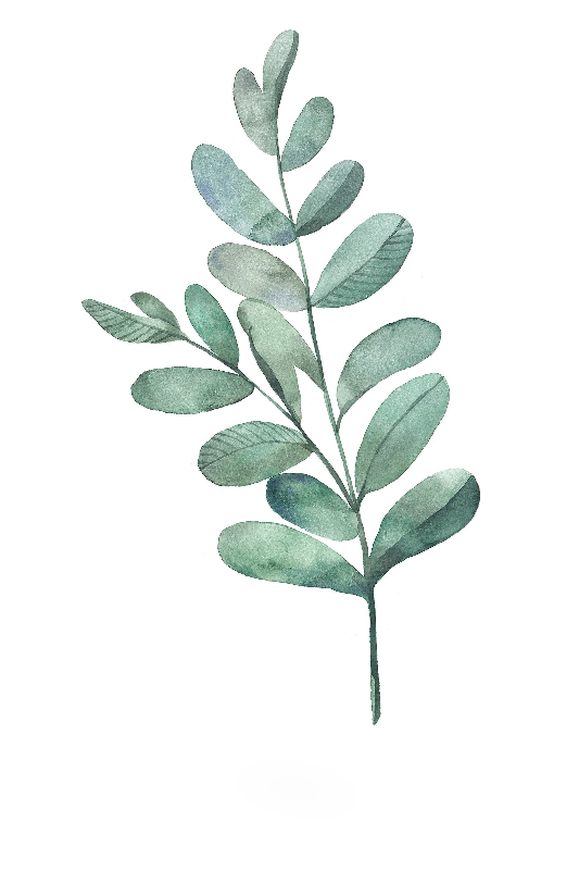 Mẫu lá 07