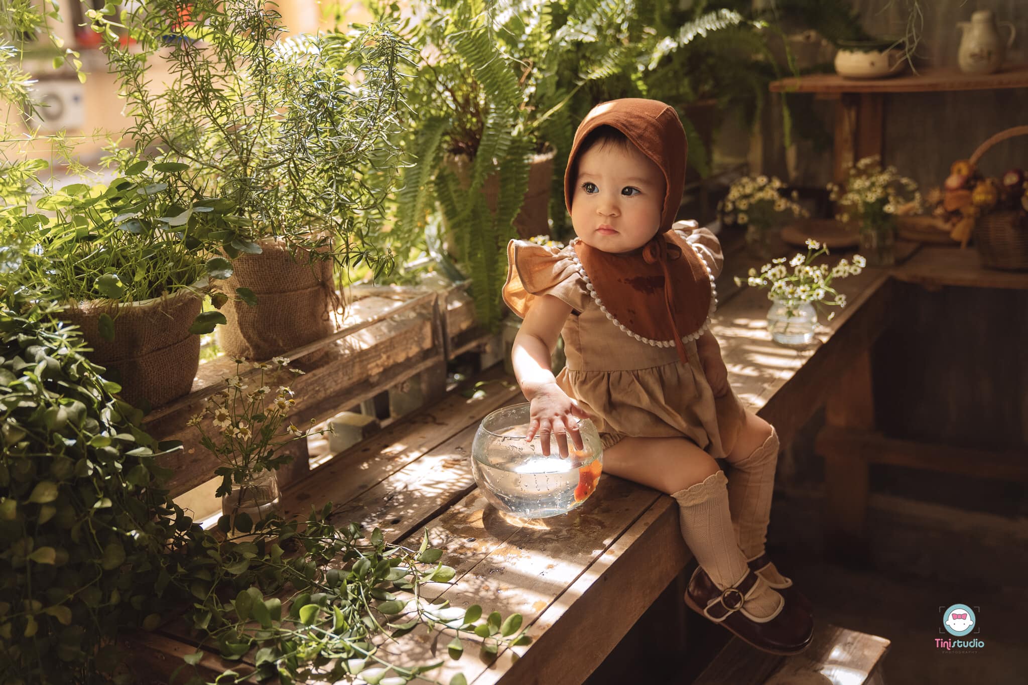 Top 7 Studio chụp ảnh cho bé đẹp và chất lượng nhất Cần Thơ - Tí Nị Studio