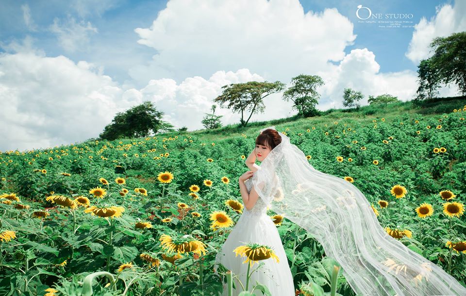 Xếp hạng 8 Studio chụp ảnh cưới đẹp nhất TP. Bảo Lộc, Lâm Đồng -  One Studio