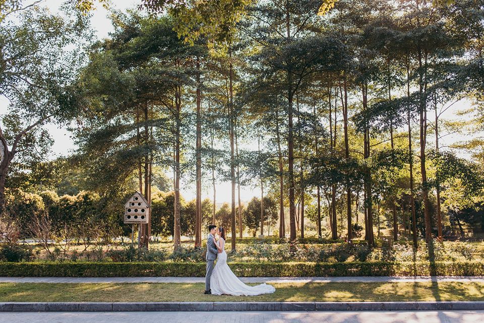 Xếp hạng 8 Studio chụp ảnh cưới đẹp nhất TP Hải Dương -  Newline Wedding