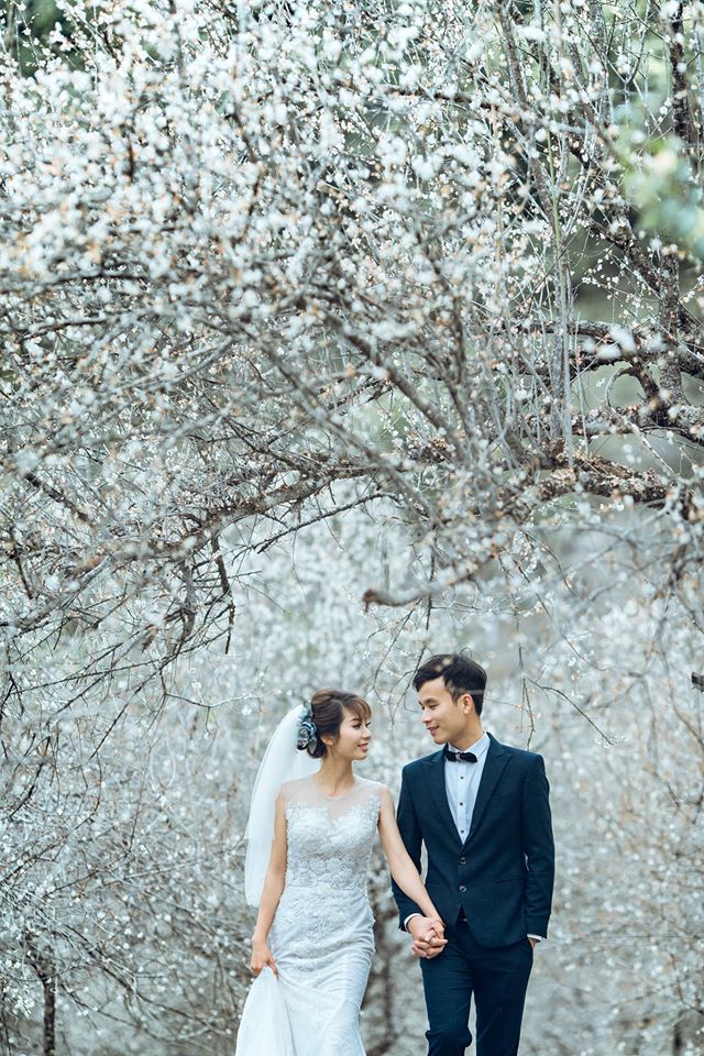 Xếp hạng 4 studio chụp ảnh cưới đẹp nhất ở Mộc Châu -  Trung Mộc Wedding - Mộc Châu