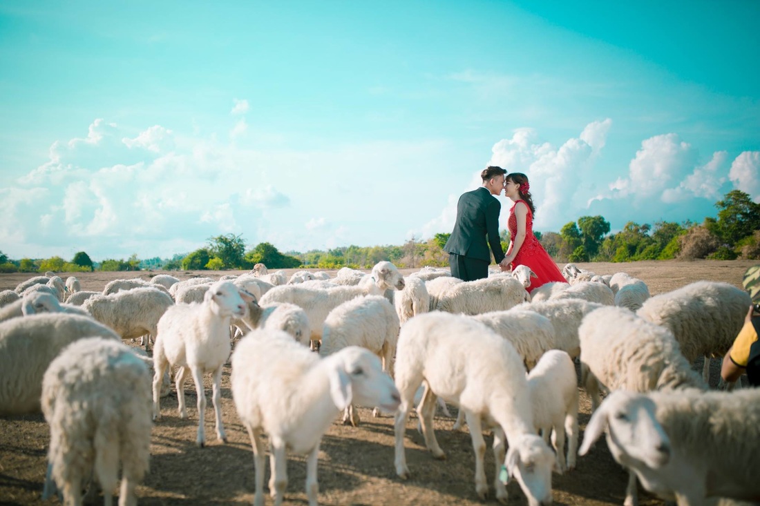 Xếp hạng 7 Studio chụp ảnh cưới đẹp nhất Trảng Bom, Đồng Nai -  Áo cưới Pha Lê