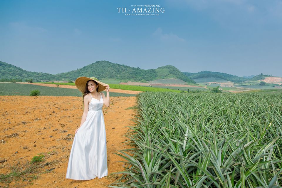 Xếp hạng 6 Studio ảnh cưới đẹp nhất TP Thanh Hóa -  Tuấn Hoàng Studio